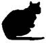Cat Under Fire pic_16.jpg