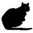 Cat Under Fire pic_17.jpg