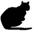 Cat Under Fire pic_18.jpg