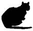 Cat Under Fire pic_21.jpg