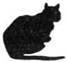Cat Under Fire pic_22.jpg