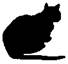 Cat Under Fire pic_23.jpg