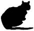 Cat Under Fire pic_24.jpg