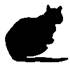 Cat Under Fire pic_25.jpg