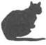 Cat Under Fire pic_3.jpg