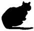 Cat Under Fire pic_26.jpg