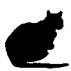 Cat Under Fire pic_27.jpg