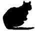 Cat Under Fire pic_28.jpg