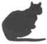 Cat Under Fire pic_4.jpg