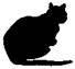 Cat Under Fire pic_5.jpg