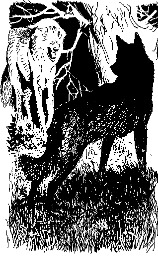 Восточный кордон i_003.png