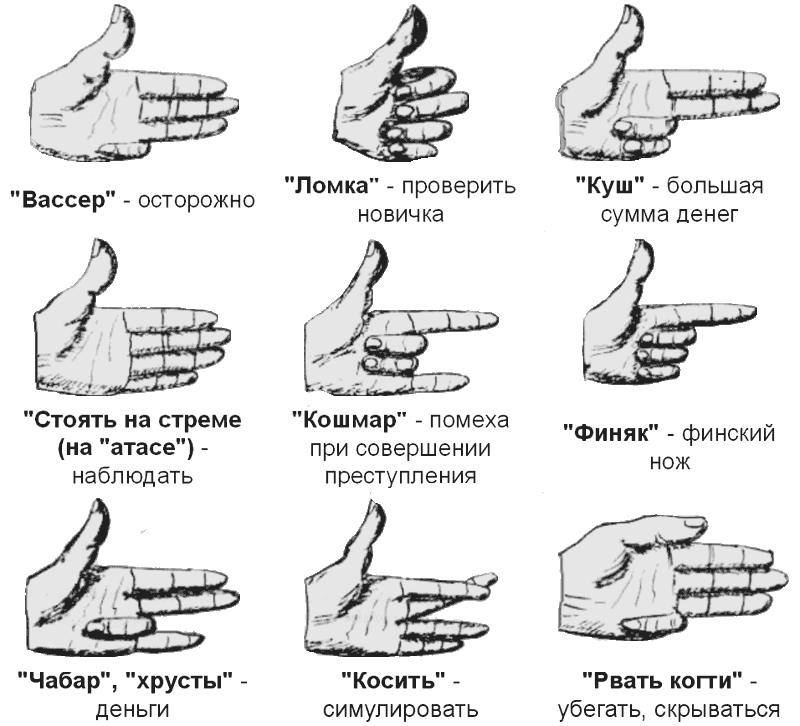 Законы преступного мира молодежи rech_fenja_1.png