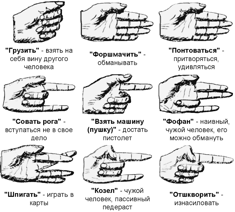 Законы преступного мира молодежи rech_fenja_2.png