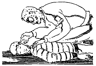 Мой учитель светится в темноте (сборник) pic_39.png
