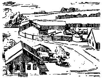 Мой учитель светится в темноте (сборник) pic_55.png
