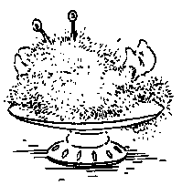 Мой учитель светится в темноте (сборник) pic_69.png