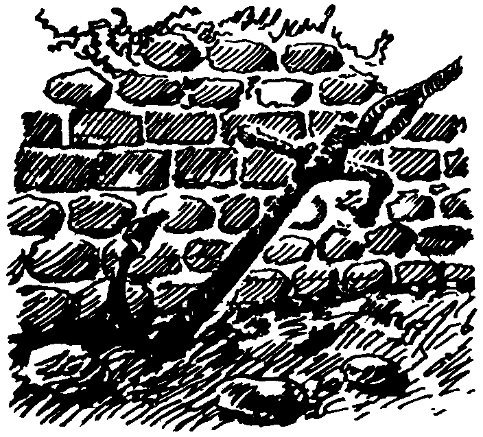 Века и воды pic0514.png