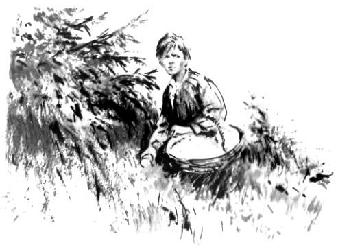 Вовка с ничейной полосы (сборник) pic_6.jpg