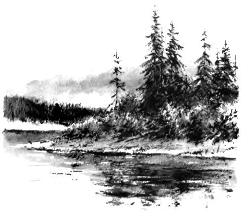 Вовка с ничейной полосы (сборник) pic_9.jpg
