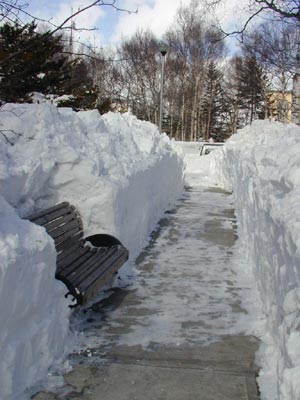 Пол-России пешком p1010014.jpg