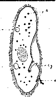 Вестник Знания (N5 1928) pic_15.png