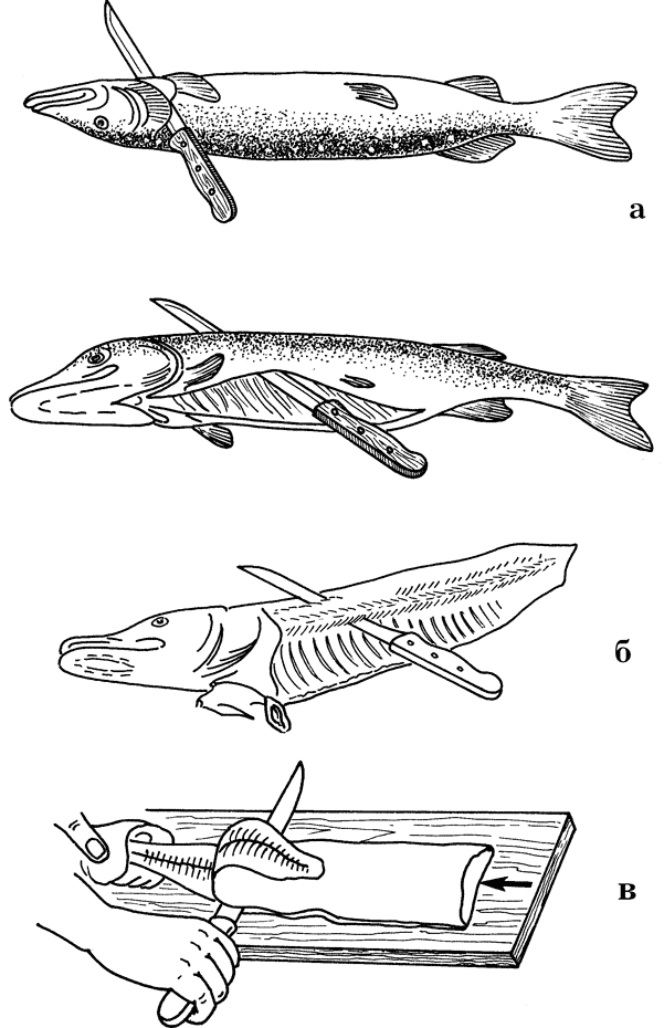 Как сохранить и приготовить рыбу на водоеме и дома i_017.png