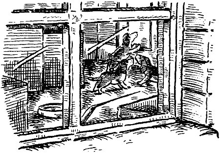 Похищение века i_012.png