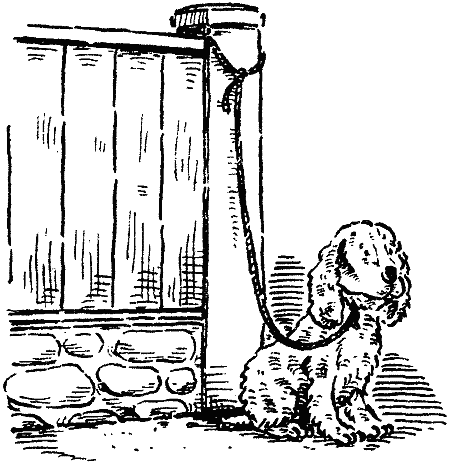 Похищение века i_004.png