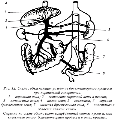 Очищение организма и здоровье: современный подход i_012.png