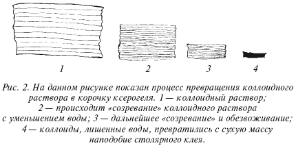 Очищение организма и здоровье: современный подход i_002.png