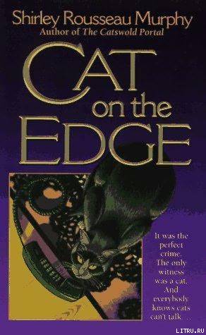 Cat On The Edge pic_1.jpg