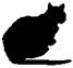 Cat On The Edge pic_6.jpg
