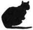 Cat On The Edge pic_18.jpg