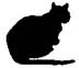Cat On The Edge pic_25.jpg
