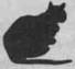 Cat On The Edge pic_28.jpg