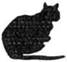 Cat On The Edge pic_5.jpg
