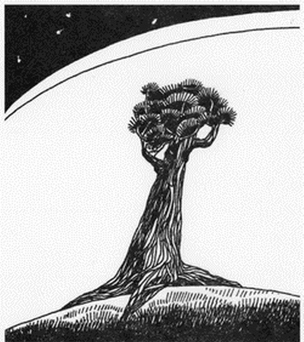Камни и молнии (сборник) i_011.png