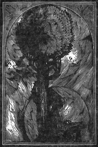 Имам Шамиль i_002.jpg