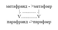 Сознание и голоса разума _1.jpg