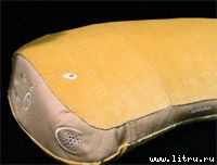 Журнал «Компьютерра» № 14 от 10 апреля 2007 года _r682_5_911.jpg