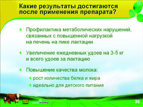 Журнал «Компьютерра» № 31 от 28 августа 2007 года i_048.jpg