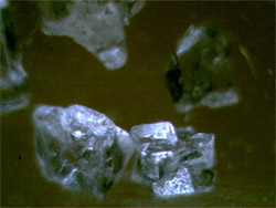 Журнал «Компьютерра» № 35 от 25 сентября 2007 года i_035.jpg