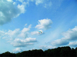 Журнал «Компьютерра» № 30 от 21 августа 2007 года i_055.jpg