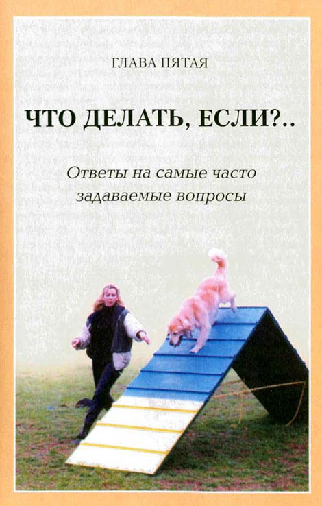 Дрессировка собак с помощью кликера pic_35.jpg