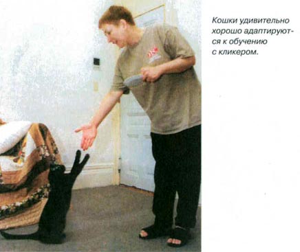 Дрессировка собак с помощью кликера pic_45.jpg