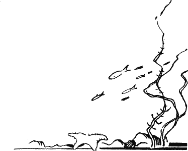Рассказ о жизни рыб i_003.png
