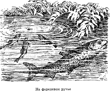 Рассказ о жизни рыб i_110.png