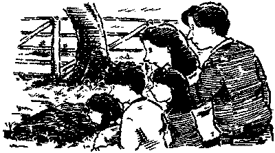 Красный, как огонь i_015.png