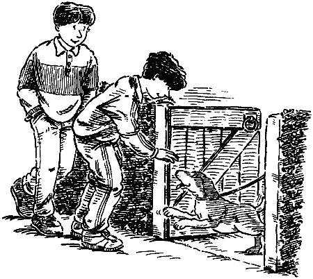Рыжая беглянка i_011.png