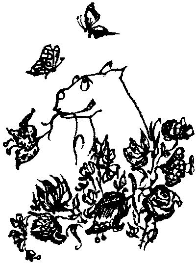 Про волков, собак и кошек i_015.png